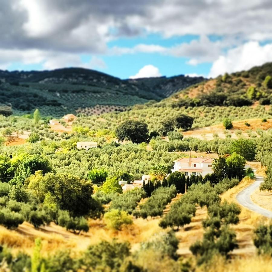 Cortijo Pennymaria Poolside Apartment Near Montefrio With Stunning Views 外观 照片