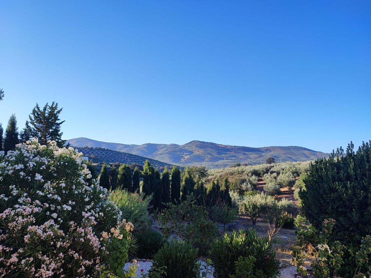 Cortijo Pennymaria Poolside Apartment Near Montefrio With Stunning Views 外观 照片