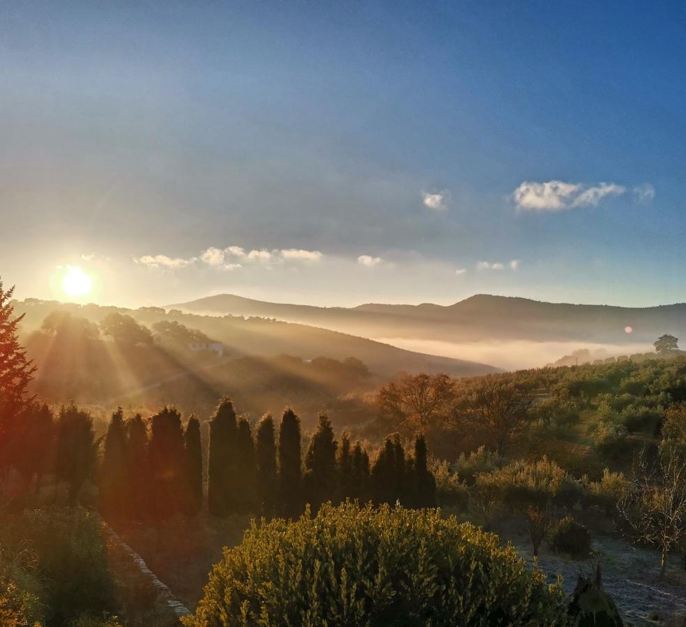 Cortijo Pennymaria Poolside Apartment Near Montefrio With Stunning Views 外观 照片